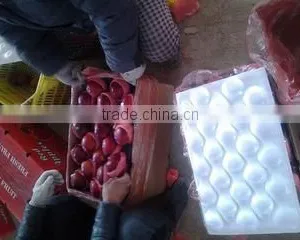 Lixian Richshine Fruits & Vegetables Co., Ltd. company overview - view 2 thumbnail