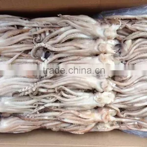2016 Newly Arrived Frozen Eye Off, Beak off Squid Tentacle From China thumbnail-4