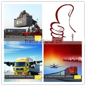 Cheap Sea Freight Rates in Shenzhen/Guangzhou/Foshan Freight Fordwarder to TINCAN Njgeria thumbnail-1