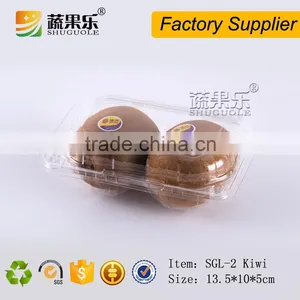 Disposable Plastic Kiwi Container 2 Slot PET Container thumbnail-5
