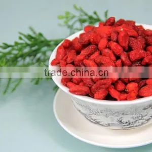Goji/gojiberry thumbnail-4