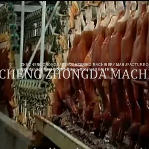 DUCK SLAUGHTER AND ABATTOIR MACHINE thumbnail-2