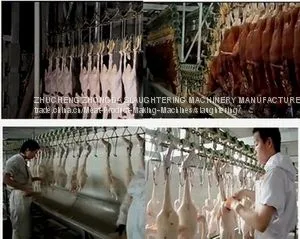 Duck Abattoir Machine thumbnail-3