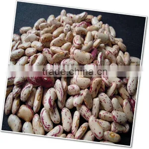 Yian Light Speckled Kidney Beans 2010 Crop thumbnail-1