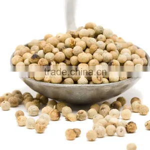 VIETNAM WHITE PEPPER DOUBLE WASHED (skype: Hanfimex08) thumbnail-1