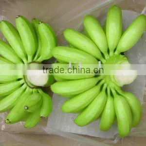 Emperor Banana (Musa Paradisiaca AA) thumbnail-1