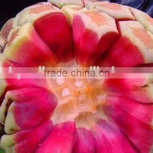 New Product Kadsura Coccinea Seeds Hei Lao Hu Seeds For Growing thumbnail-6