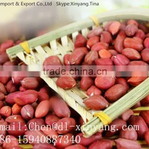 Wholesale China High Quality Wholesale Peanuts Prices thumbnail-2
