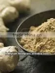 Ginger Powder Steam Sterilized thumbnail-1
