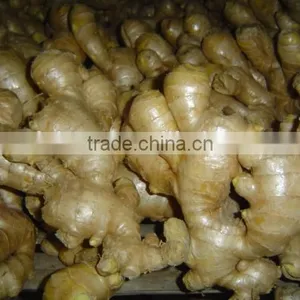 Fresh Washed Ginger thumbnail-3