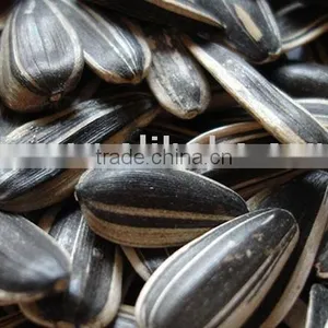 Chinese Sunflower Seeds thumbnail-1