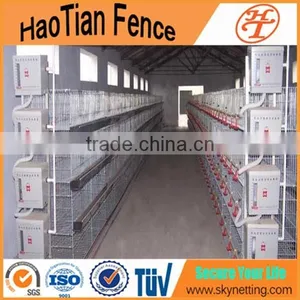 China Commercial Chicken Cage for Sale Chicken Layer Cage Price Metal Cheap Chicken Coops thumbnail-1