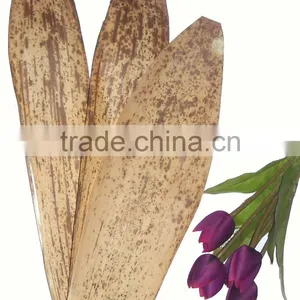 Bamboo Sheath thumbnail-1
