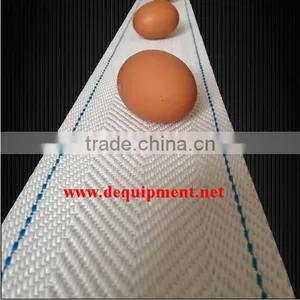 Egg Belt Imported From Italy Automatic Egg Collection thumbnail-3