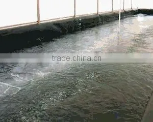Branches of Agriculture/aeration Pipe/aerator Tube thumbnail-5