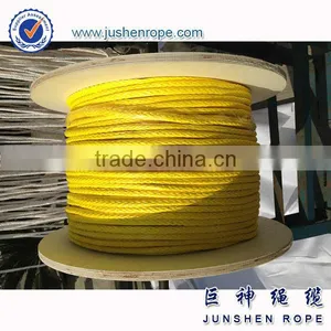 Top Grade New Design 2mm 3mm Hang Gild Winch Rope thumbnail-3