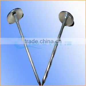 Top Quality 3 Inch Roofing Nail Trusted Chuanghe Suppliers From Com thumbnail-1