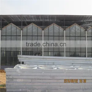 Anti Insect Net Greenhouse for Agriculture Use thumbnail-4