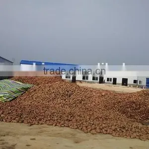 Chinese Specialized Firm Supply Full Automatic Garri Processing Machinery thumbnail-3