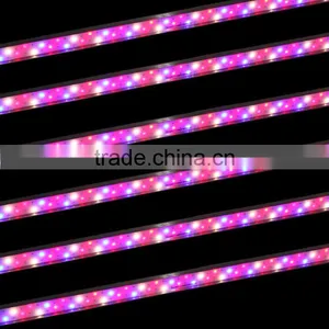 Marshydro Grow Led Light Full Spectrum Tube Led Grow Light Bar for Tomato Seed for Greenhouse Hydroponics thumbnail-1