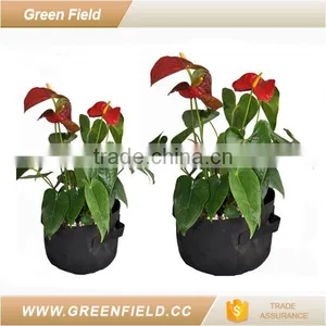 Removable Plant Pot Holder,smart Plant Pots thumbnail-2