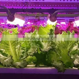 High Umol Led Grow Light Tube Led for Lettuce Hydroponic Vertical Farm 30w Waterproof thumbnail-6