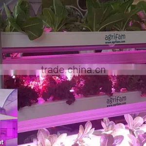 VANQLED LED Plant Grow Rigid Strip Lights With Plug Transformer Driver for Leafy Growth,Red Blue Grow Lamp Light thumbnail-3