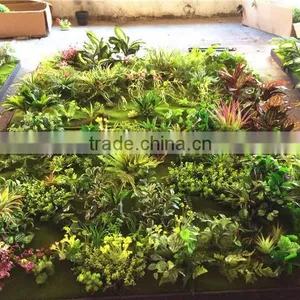 Home Garden Wedding Decoration 200cm*100cm Green Original Succulent With Moss Carpet Grass Wall E03 0501 thumbnail-3