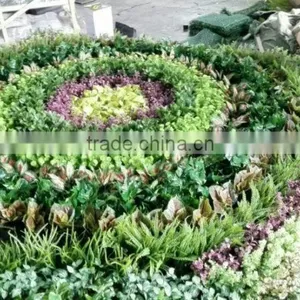 Fake Green Plant Wall Manufacture Decoration Indoor Fake Flower Plant Wall thumbnail-3