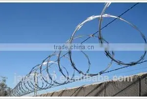 2017 Hot Sale Galvanized Razor Wire With Factory Price thumbnail-1