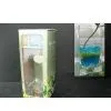 Glass Vase thumbnail-1