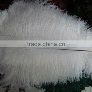 Hot#sale 25PCS WHITE OSTRICH FEATHERS 35-40cm(14-16") thumbnail-1