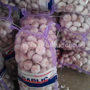 New Crop Fresh Chinese Normal White Garlic (5.0cm, 5.5cm, 6.0cm) thumbnail-1