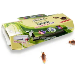 Disposable Feature and Cockroaches Pest Type Cockroach Glue Trap thumbnail-1