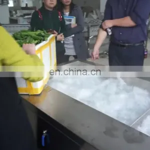 Industrial Bubble Vegetable and Fruit Washing Machine Okra Washer thumbnail-1