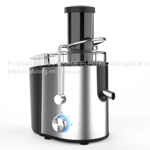 800W High Quality Popular Commercial Juicer for Home Using thumbnail-1