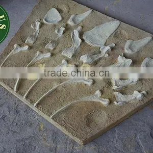 Lisaurus-V Promotion for Dinosaur Bone thumbnail-6