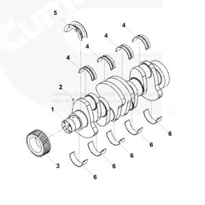 4BT/4BT3.9/6BT/6BT5.9/4D102/6D102 Crankshaft Gear Apply to Truck/excavator(3929027) thumbnail-5