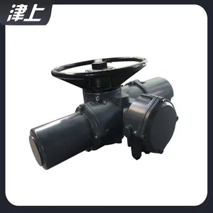 Rotary Electric Actuator IQ25 Aluminium Alloy Box thumbnail-4
