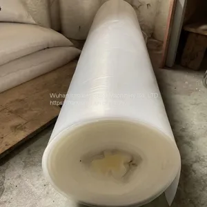 Brief Introduction of Hollow Greenhouse Membrane Project thumbnail-3