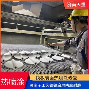 Surface Repair of Tianmeng Raft by Plasma Spraying, Nickel Aluminum Coating, Anti-corrosion and Wear-resistant Coating, Thermal Spraying Processing thumbnail-4