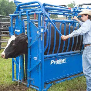 2025 New Mold Steel Tube Foot Trim Mobile Cattle Handling Crush thumbnail-6