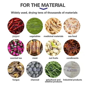 Industrial Moringa Leaf Washing Drying Grinding Packaging Production Line EPC thumbnail-5