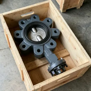 Marine Butterfly Valve Lug Type Handle With Reinforced Nylon Handle thumbnail-2