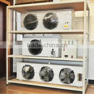 Small Black Garlic Cold Room With Machine thumbnail-5