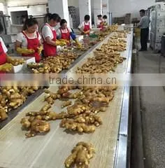 Qingdao Toboli International Trading Co., Ltd. company overview - view 2 thumbnail
