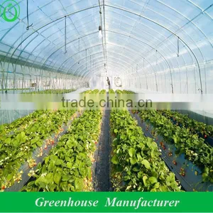 Greenhouse Tunnel thumbnail-1