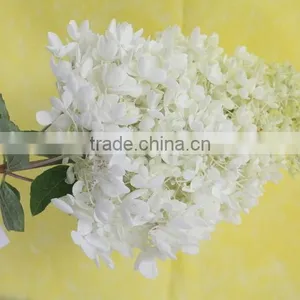 Elegant in Smell Hot-sale Hydrangea Flower for Sale thumbnail-1
