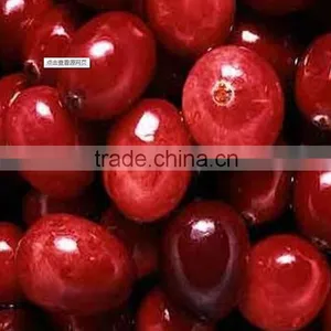 Organic Dried or Frozen Cranberry Extract thumbnail-1