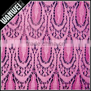 Storage Hot Selling Stylish Discount Promotion Lace Tricot Brushed Knitting Lace Fabric Wholesale Spandex Nylon Cotton Materials thumbnail-1